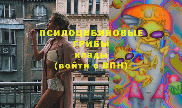 экстази Вяземский