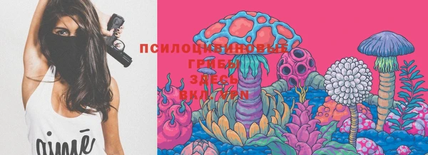 экстази Вяземский