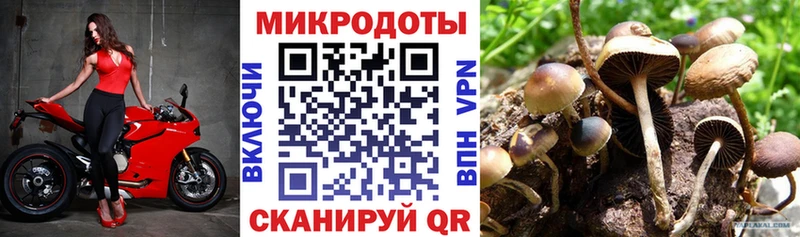 Псилоцибиновые грибы Magic Shrooms  Купить где  Клинцы 